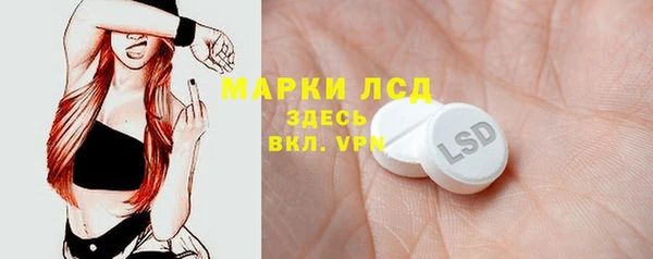 индика Алзамай