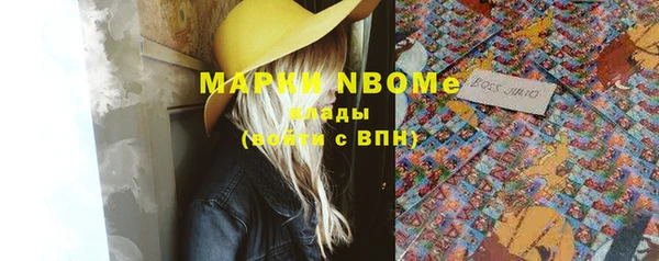 индика Алзамай